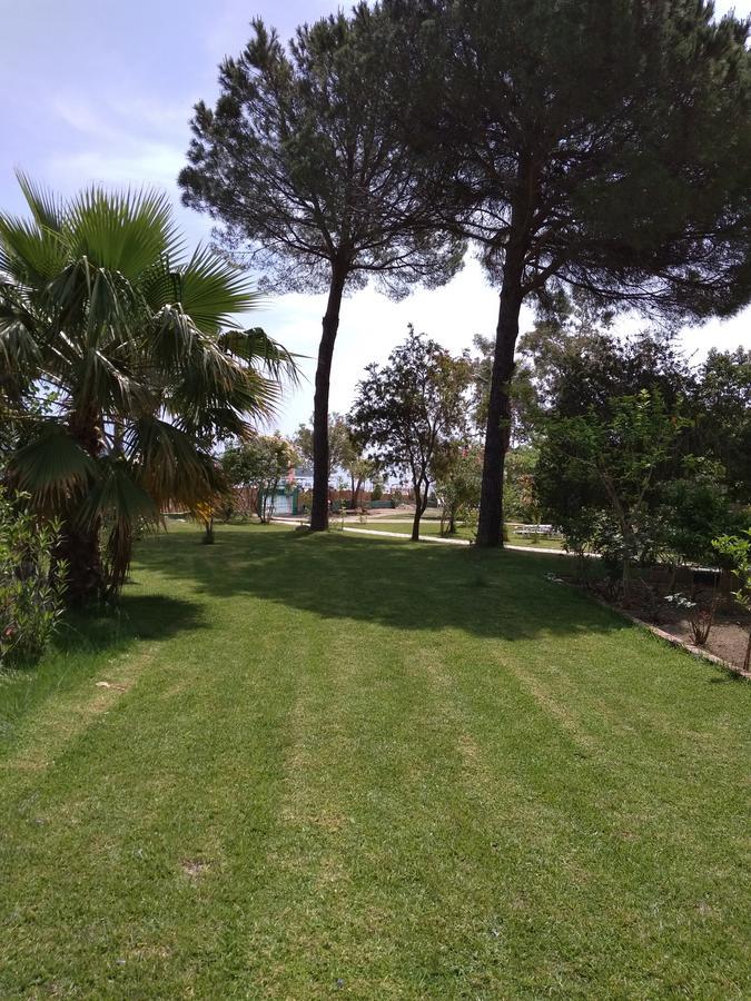 Palmyra Beachfront Studios Нидри Екстериор снимка